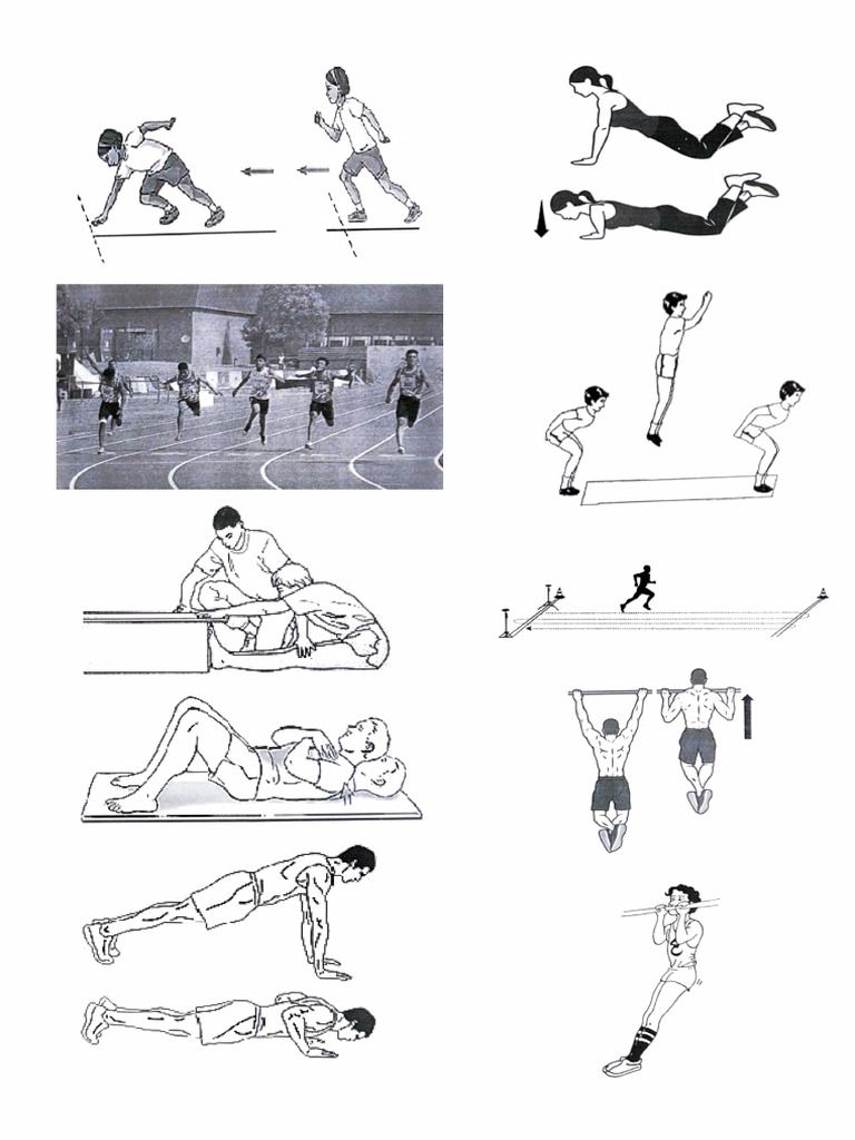 Phe Img1 | PDF