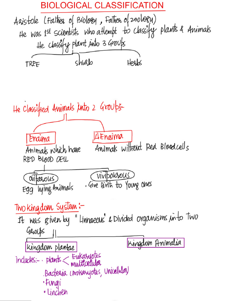Biological Classification 1 | PDF
