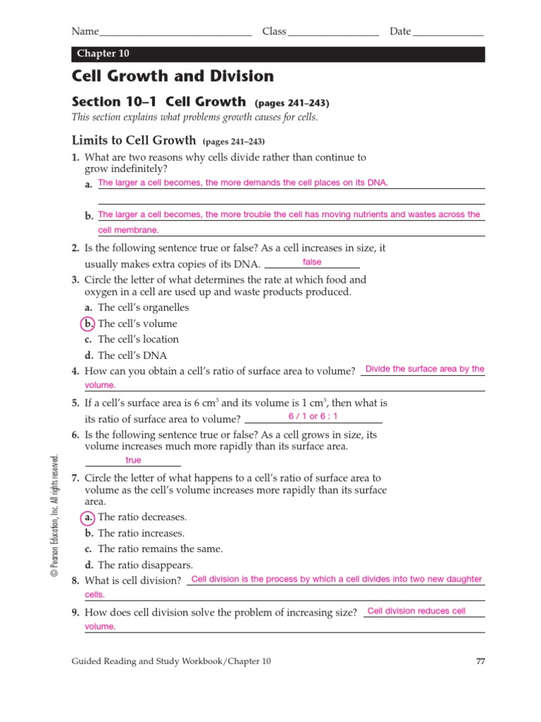 Worksheets Cell Division Worksheet Answers cell division worksheet answers printable blog section 10 2 worksheets for school