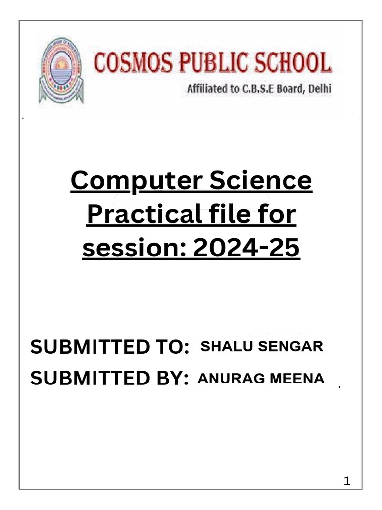 Computer Science Practical File 2024-25 | PDF
