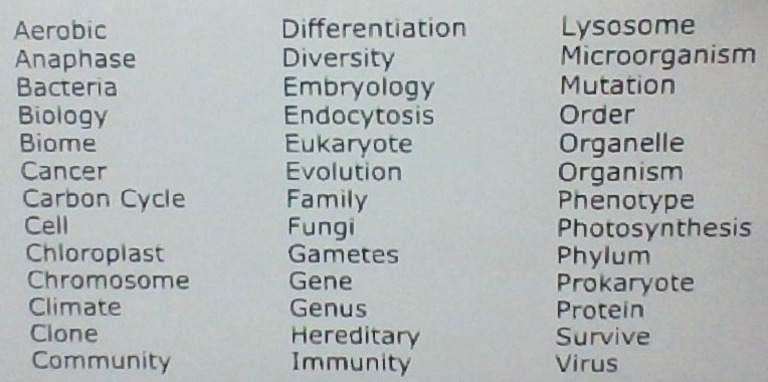 Biology Terms Overview | PDF