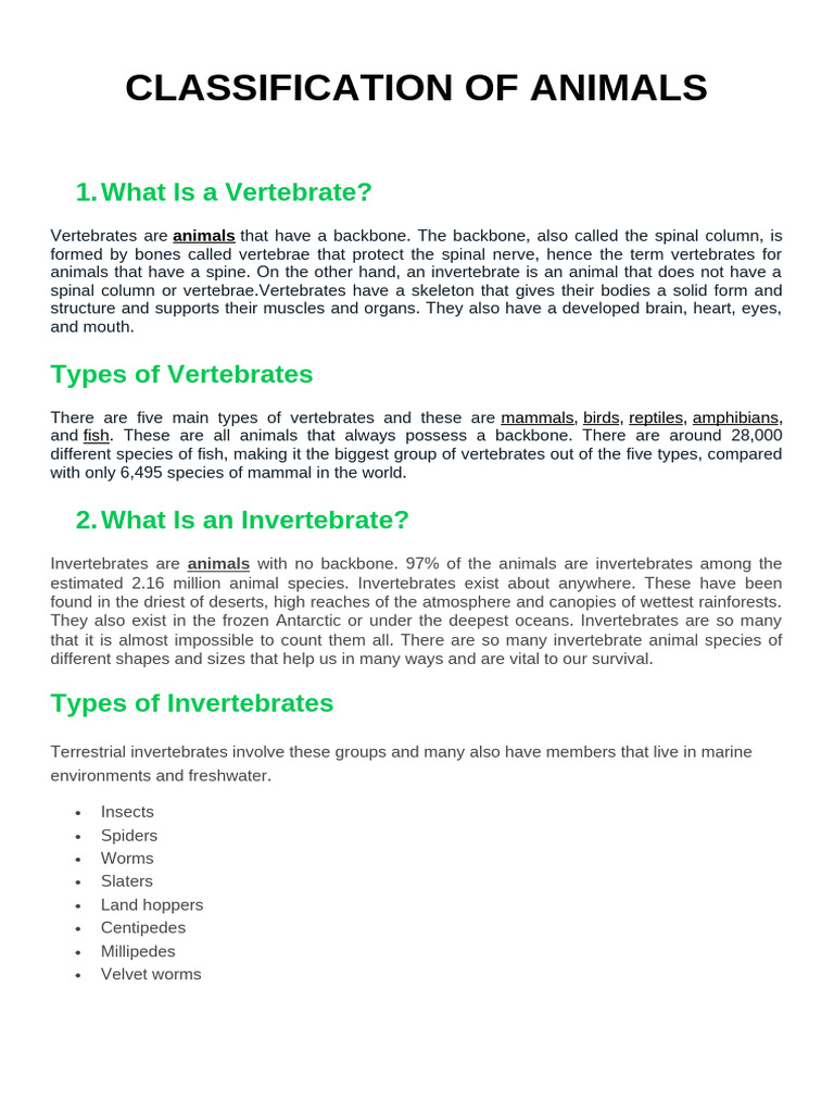 Animal Classification: Vertebrates vs. Invertebrates | PDF