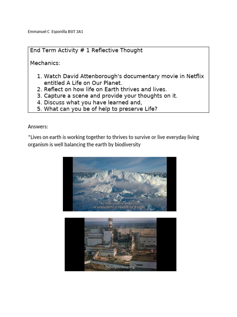 End Term Activity | PDF