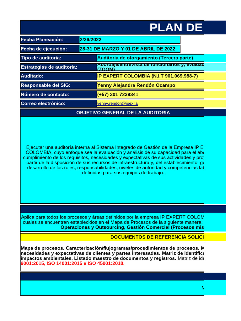 Plan de Auditoría Interna IP Expert | PDF | Auditoría | Business