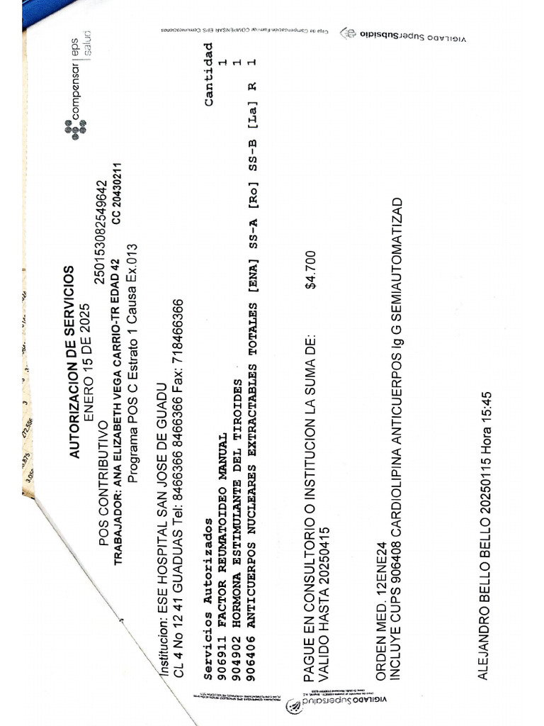 Documento 17 | PDF