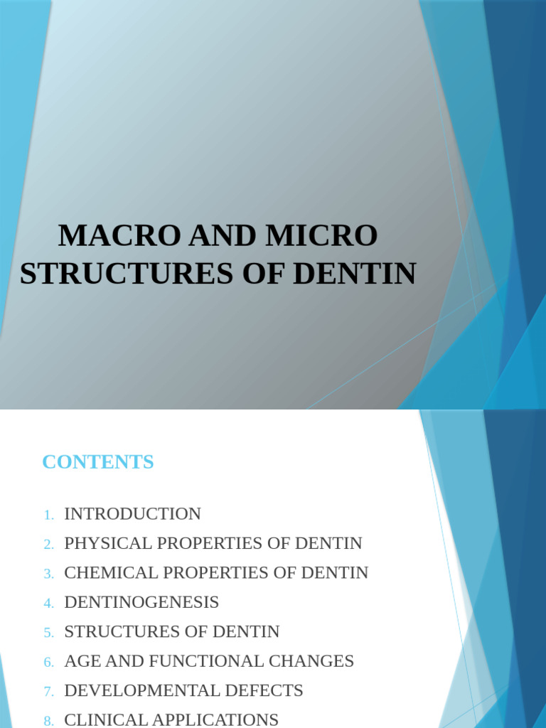 Dentin Pdf Dentin Human Tooth