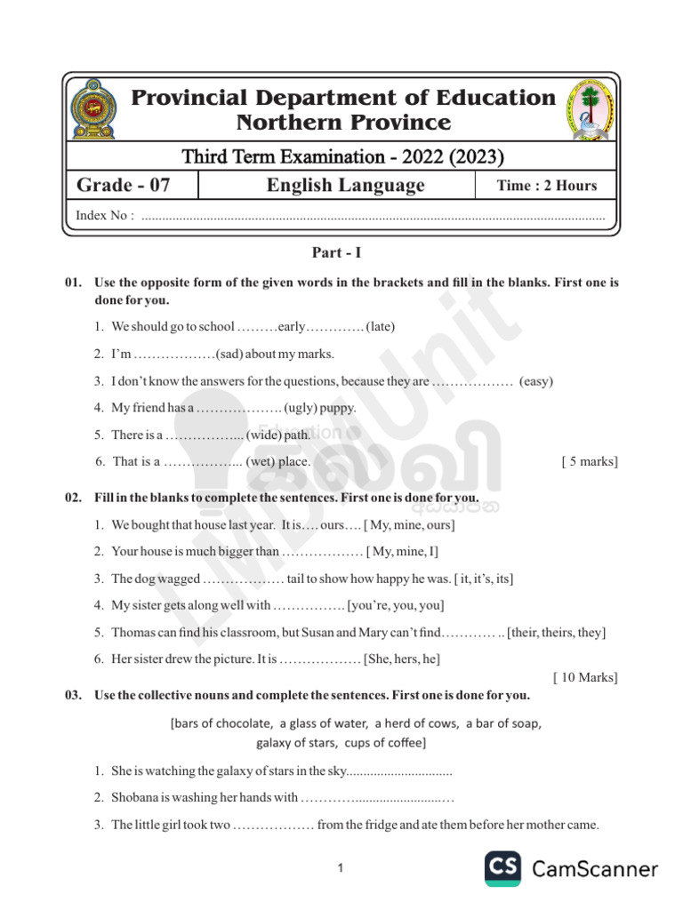 gr7 Ta English 2022 Term - 3 | PDF | Linguistic Morphology | Syntax