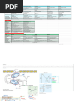 Heparin Dose Adjustments in Renal Impairment | PDF | Pharmacology ...