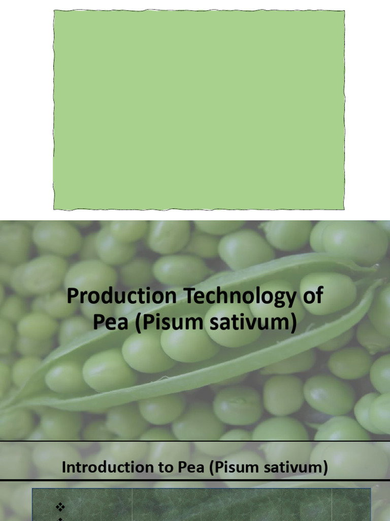 Production Technology of Pea (Pisum sativum) (1151) | PDF | Pea | Legume