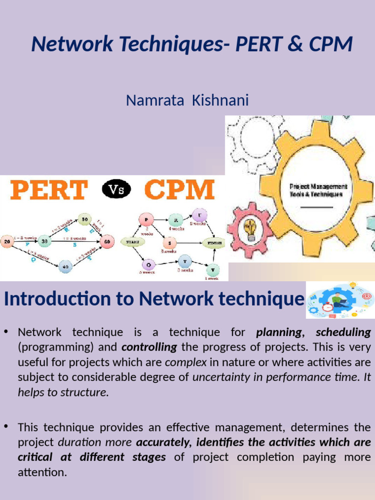 Overview of Project Network Techniques | PDF