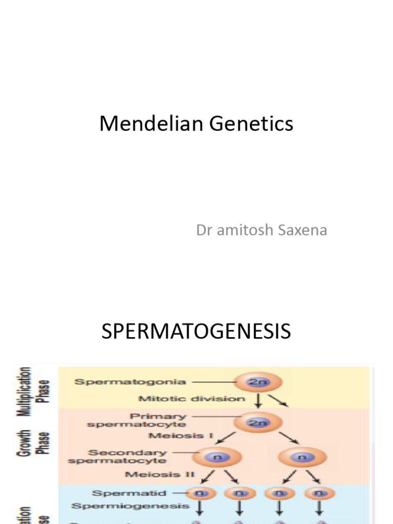 Mendelian Genetics Overview and Concepts | PDF | Dominance (Genetics ...