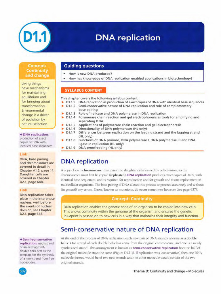 D1 1 | PDF