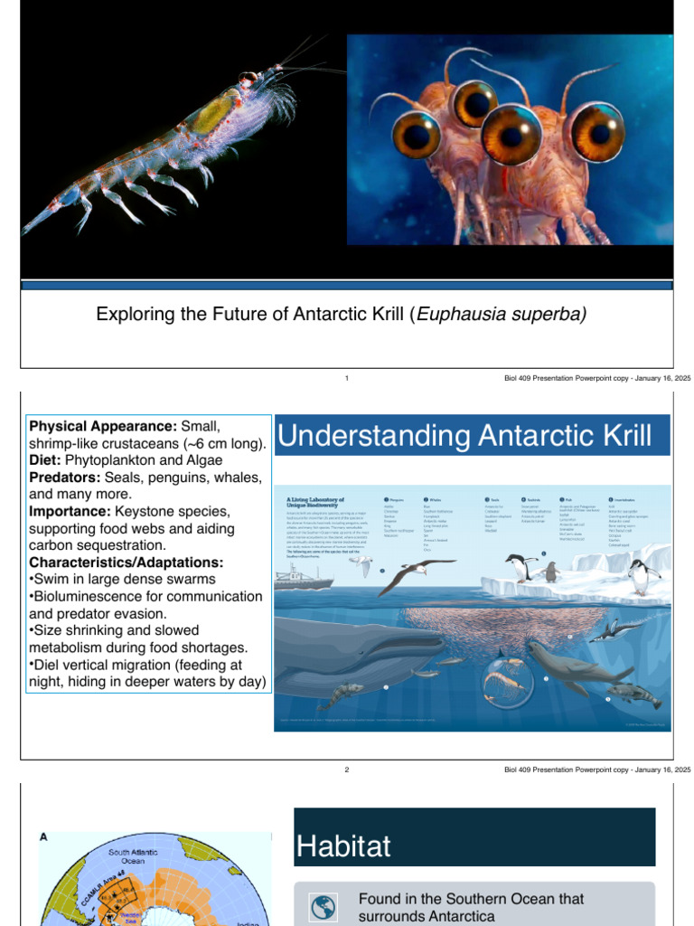 Analyzing Krill | PDF | Antarctica | Climate Change
