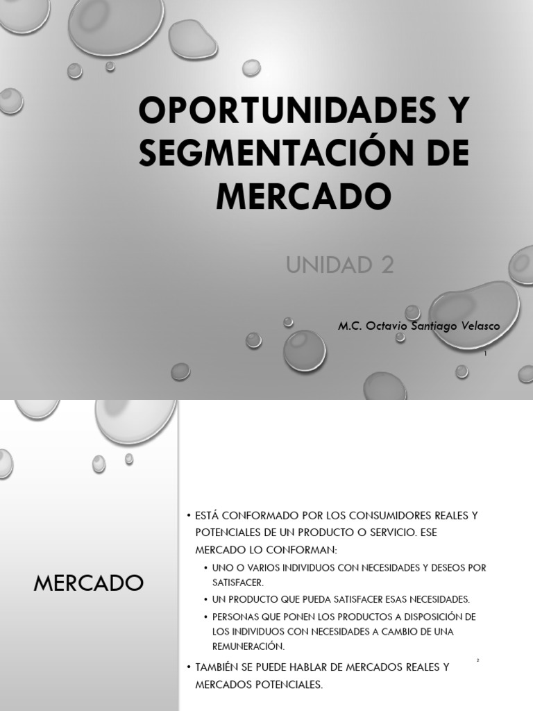 Segmentación y Comportamiento del Consumidor | PDF | Segmentación de ...