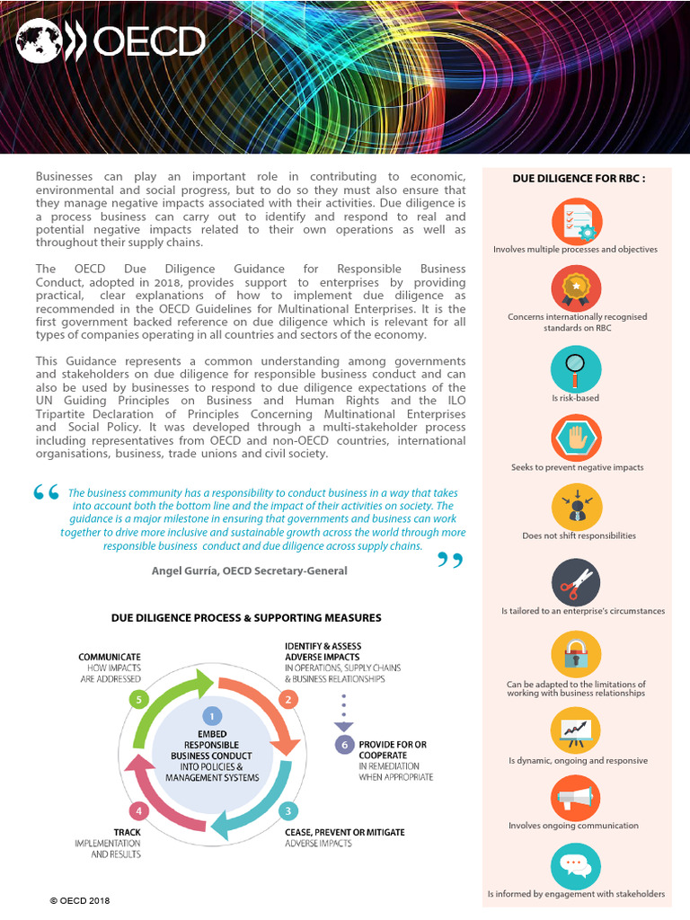 oecd-due-diligence-guide-for-businesses-pdf-due-diligence-bribery