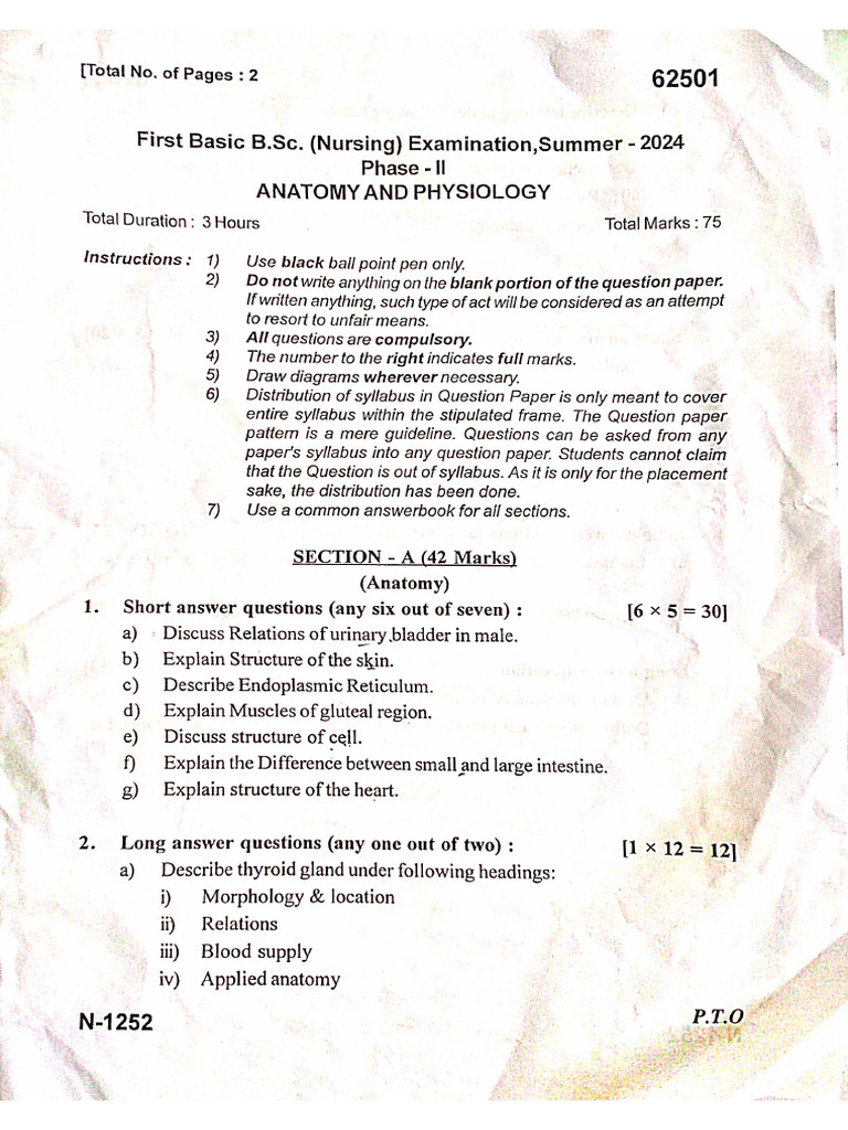 Anantomy Physiology Summer 2024 | PDF