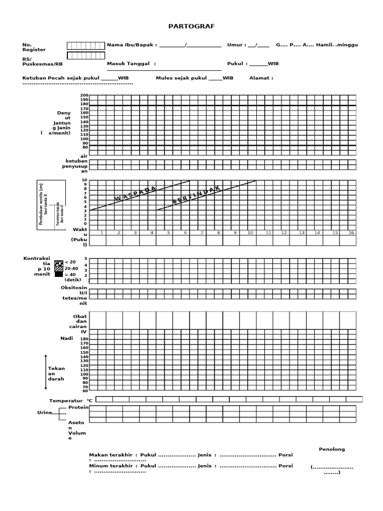 Panduan Lengkap Partograf Persalinan | PDF