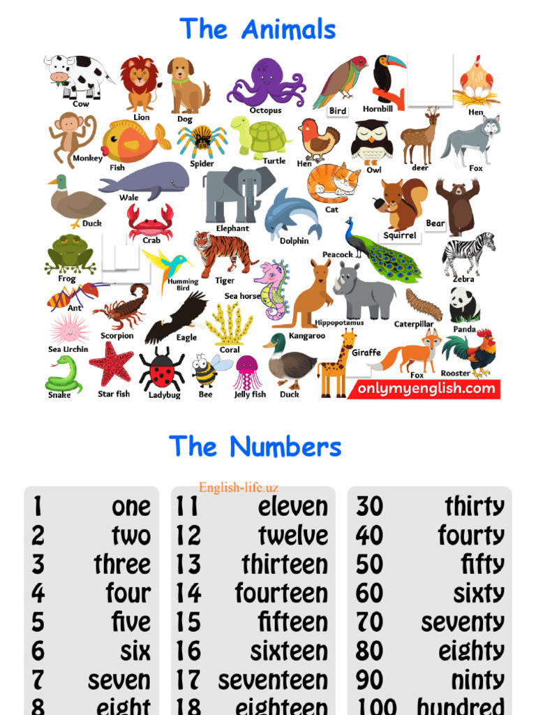 Animals and Numbers | PDF