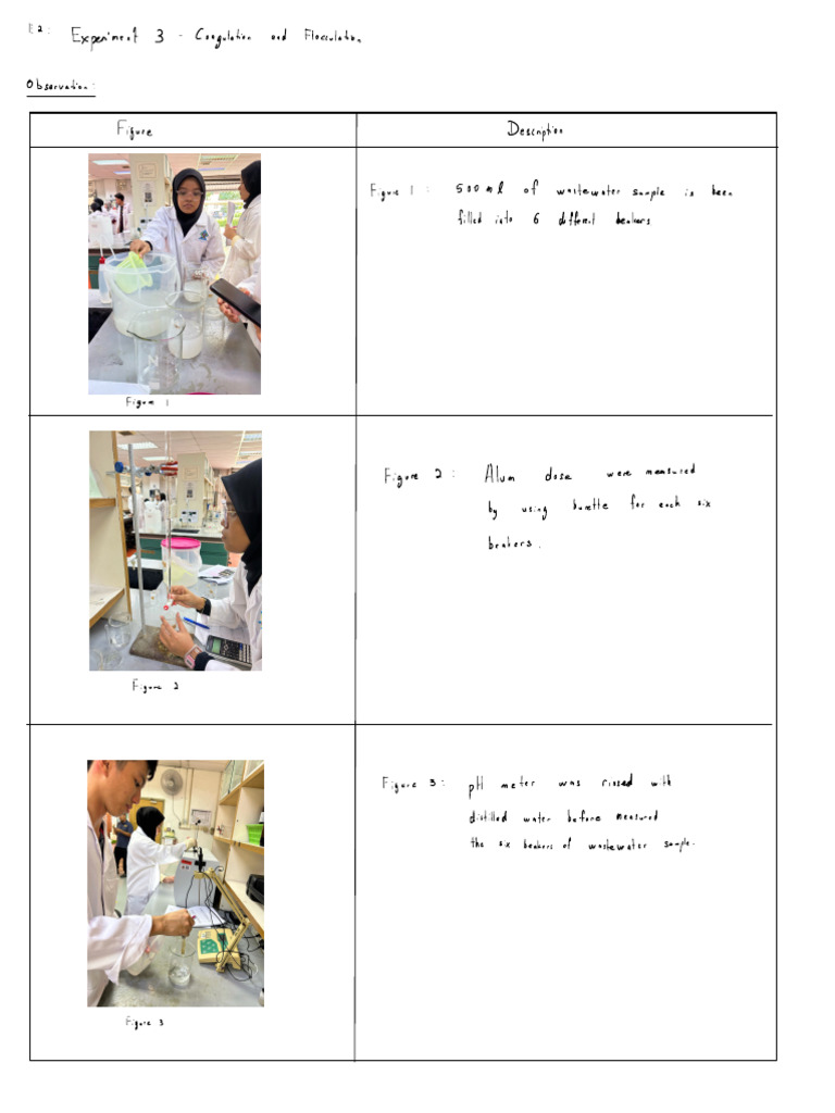 Observation E2 | PDF