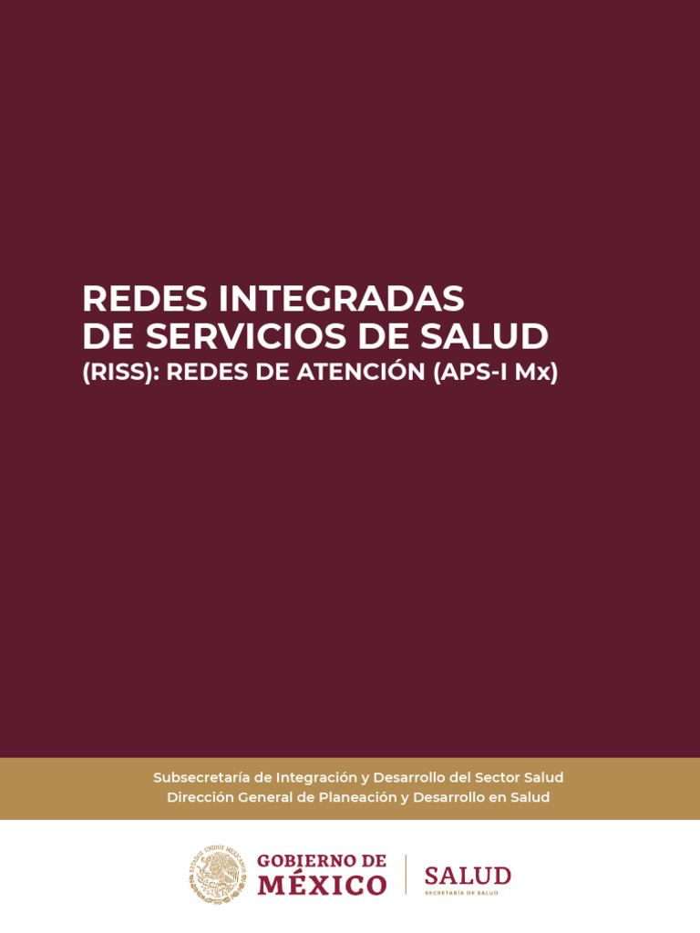 071220RISS_RAAPS-IMX | PDF | Hospital | Cuidado de la salud
