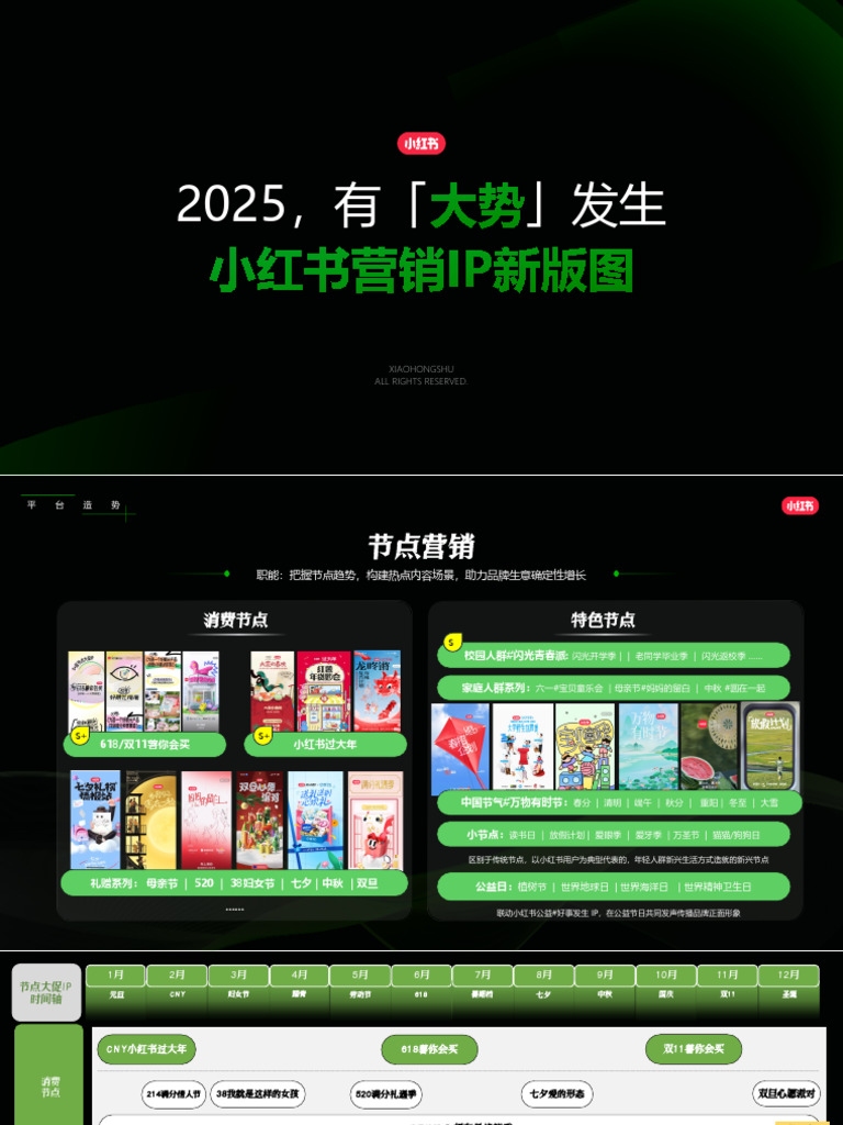 20241113 2025小红书IP通案 节点营销 | PDF