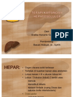 Terapi Karsinoma Hepatoseluler