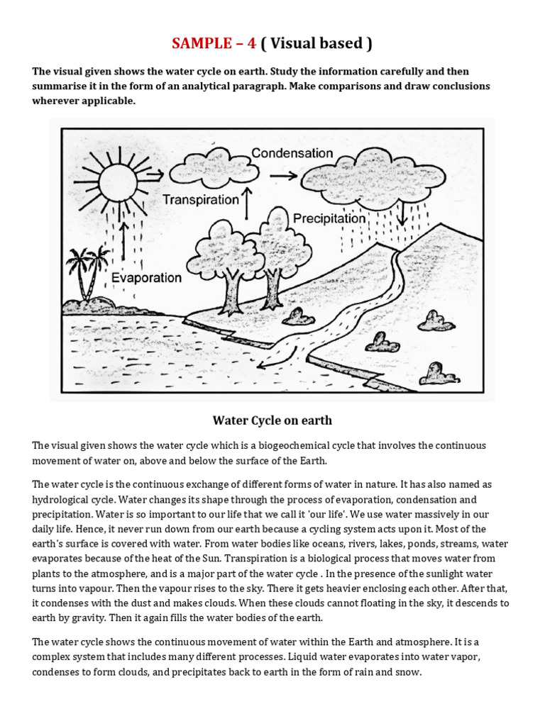 Understanding the Water Cycle | PDF | Water Cycle | Water