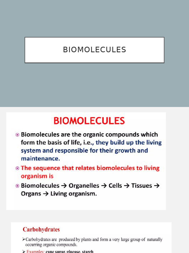 Understanding Biomolecules: Carbohydrates | PDF | Carbohydrates | Glucose