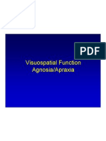 Visuospatial FX