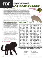Four Layers of the Rainforest Explained | PDF | Rainforest | Canopy ...