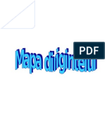 Mapa Dirigintelui-1