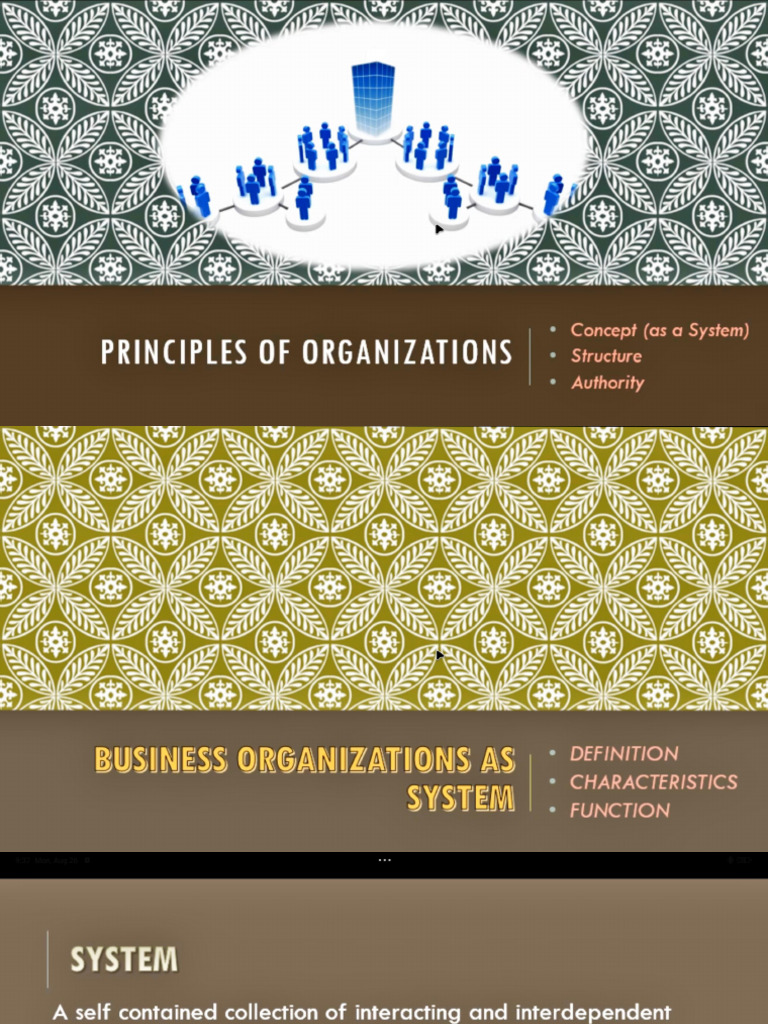 Principles of Organizations (Lesson 3) | PDF | System | Organizational ...