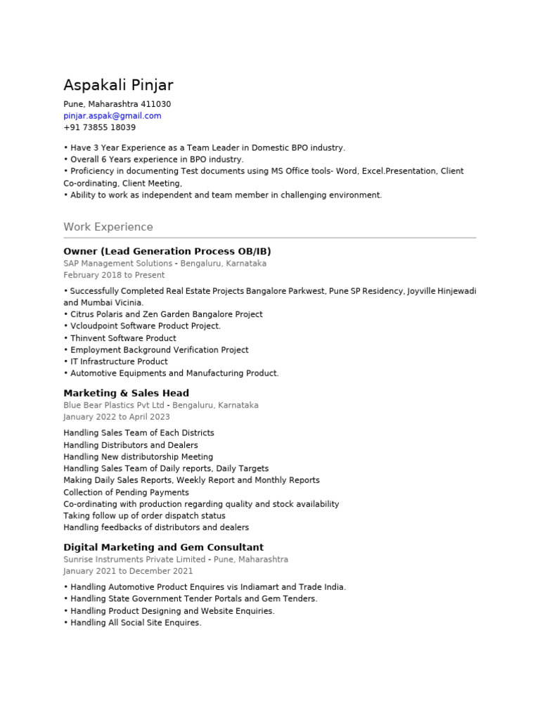 Armeka Pune: BPO Leadership Profile | PDF | Computing | Software