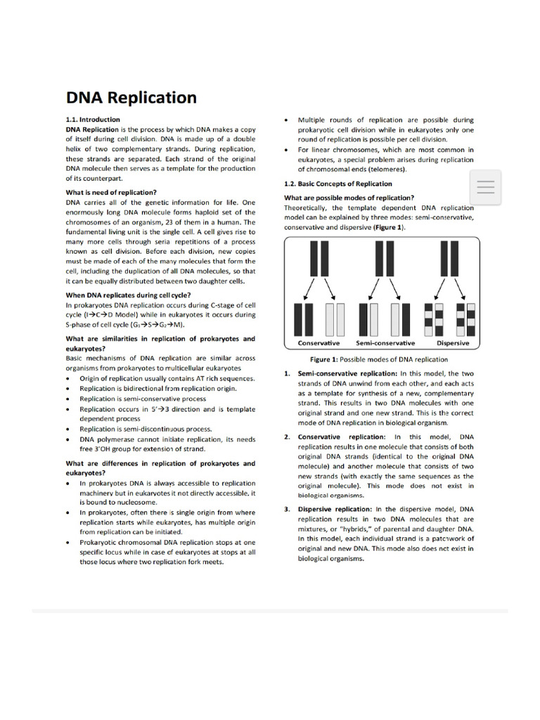 Replication Dna | PDF