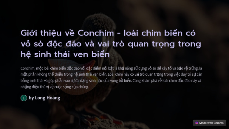 Gioi Thieu Ve Conchim Loai Chim Bien Co Vo So Djoc Djao Va Vai Tro Quan ...