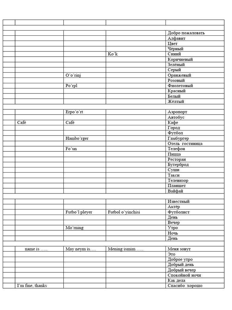 Jurnalist videoga tushdi