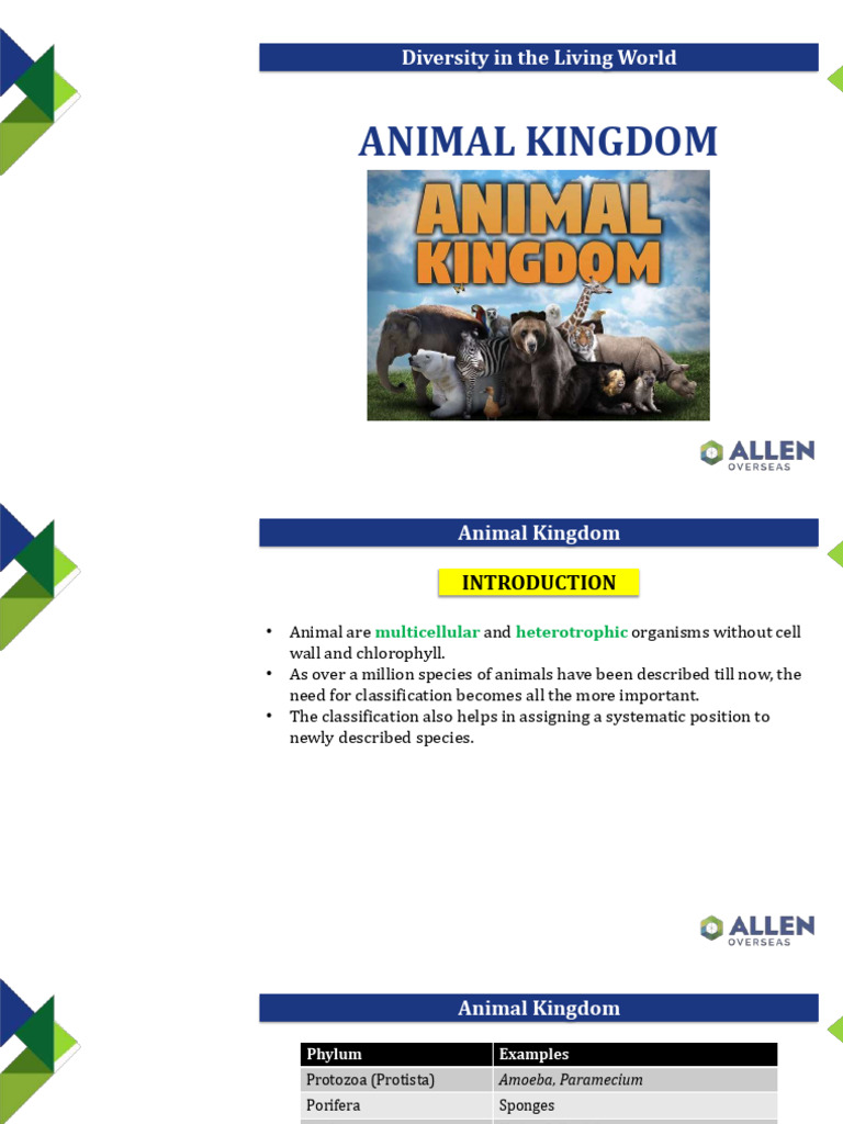 Animal Kingdom - Non Chordates | PDF | Sponge | Mollusca