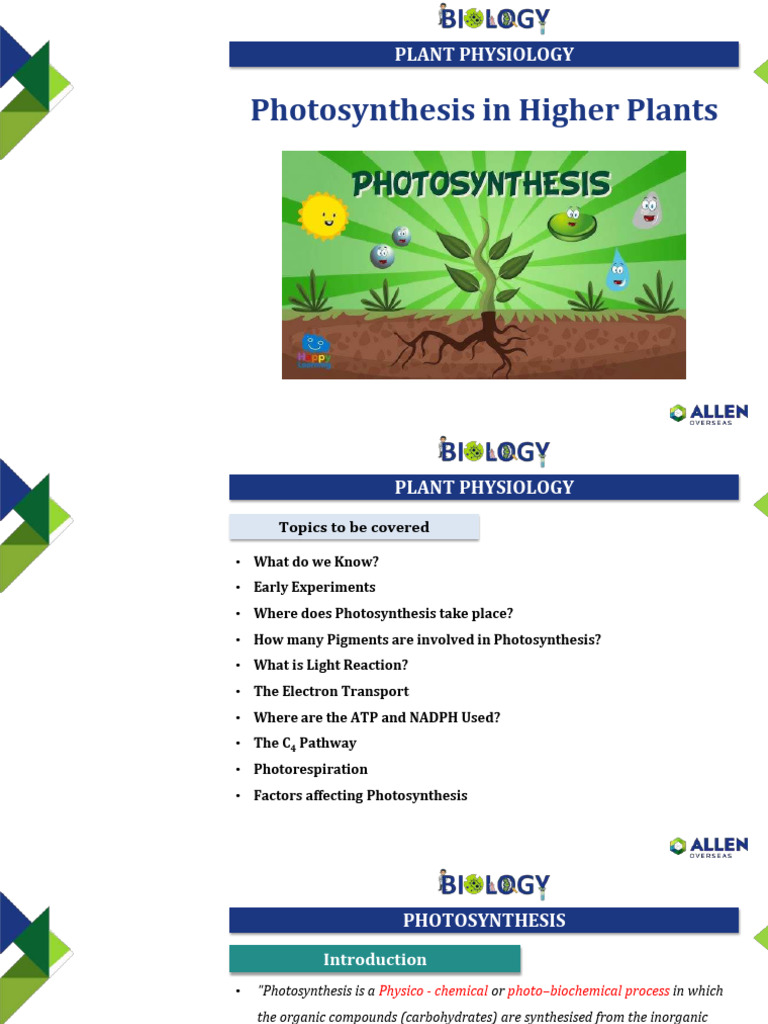 Understanding Photosynthesis Process | PDF | Photosynthesis | Chloroplast