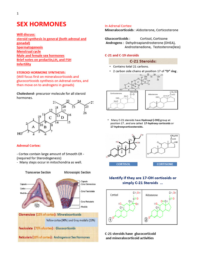 Sex Hormones | PDF | Luteinizing Hormone | Adrenal Gland
