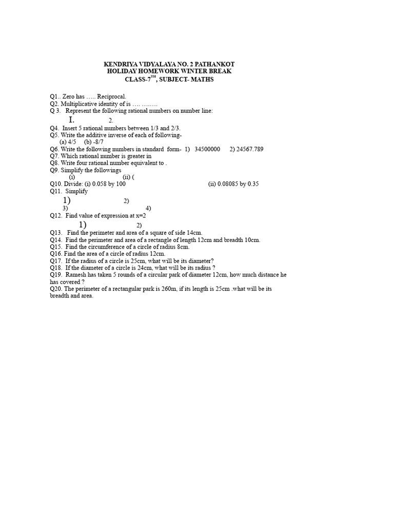 Class 7 Maths Holiday Homework | PDF