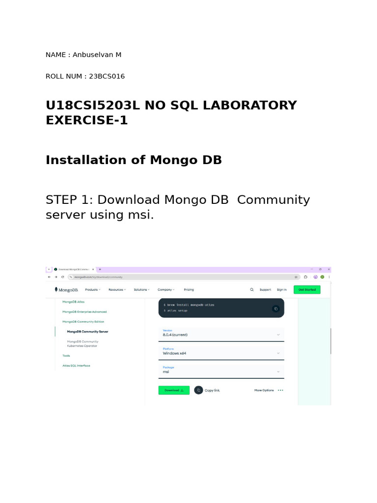 MongoDB Installation Guide for Windows | PDF