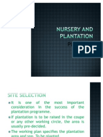 Plantation Class 1