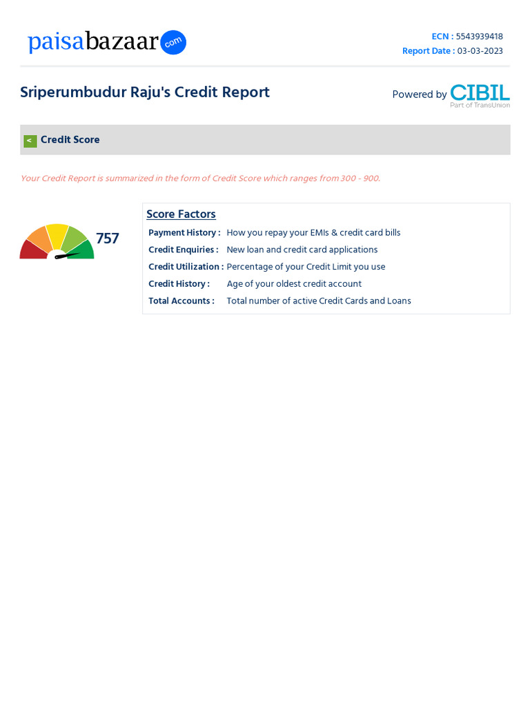 Raju's Credit Report Summary | PDF