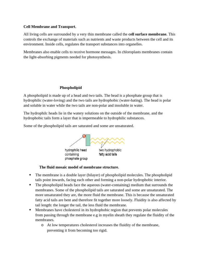 Cell Membrane Structure and Functions | PDF | Cell Membrane | Cell ...