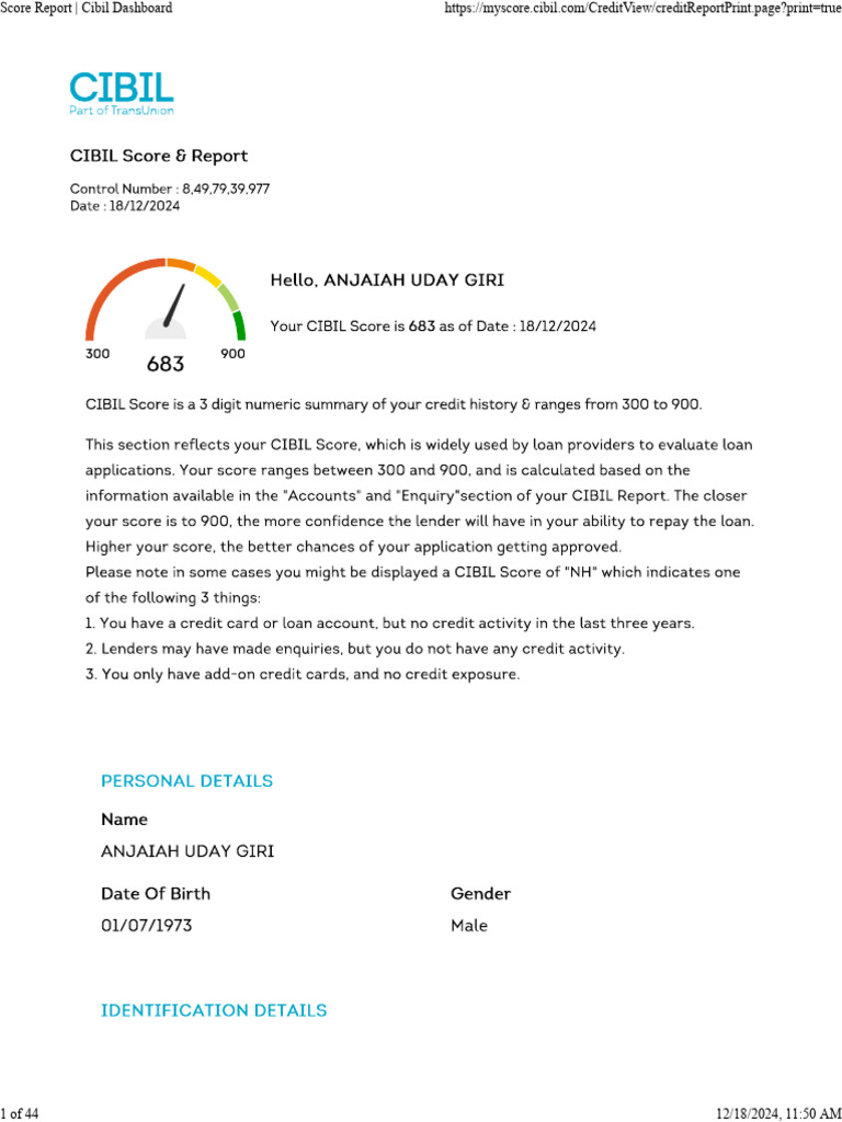 Cibil Score Report Overview | PDF
