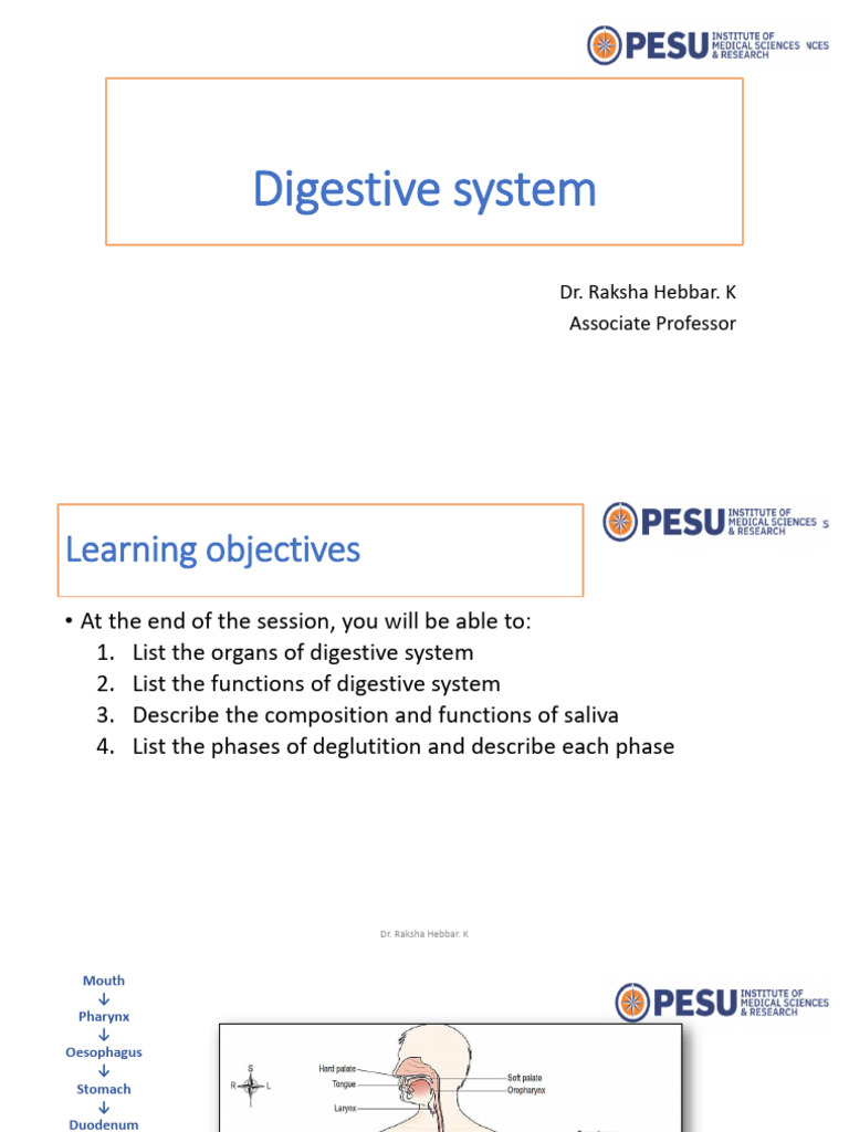Digestive System Functions of Organs of Gi Tract | PDF | Human ...
