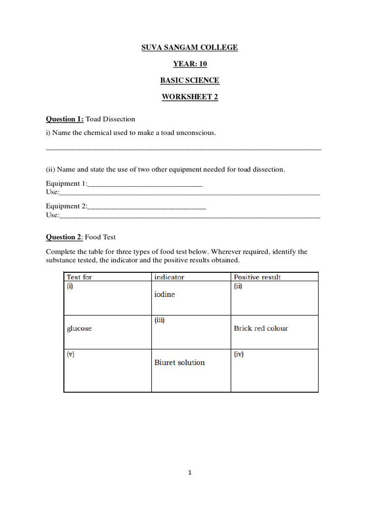 Year 10 Basic Science Worksheet 2 | PDF