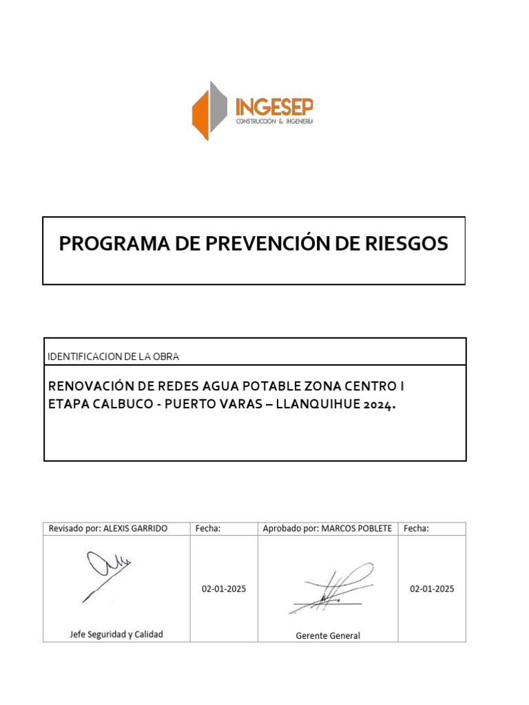 Plan y Programa de Prevencion | PDF | Calidad (comercial) | Auditoría