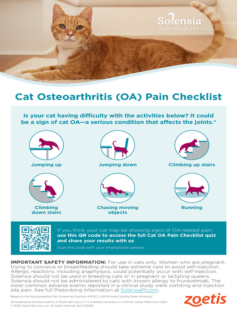 Cat Osteoarthritis Pain Checklist | PDF