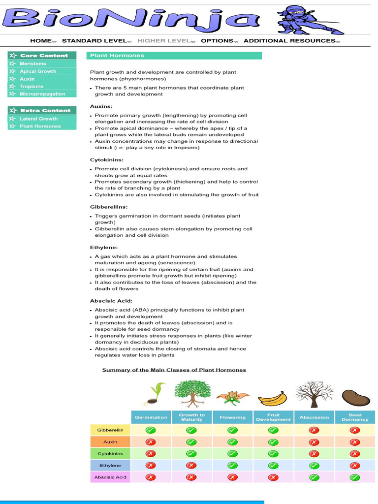 Basic Hr Functions Pdf